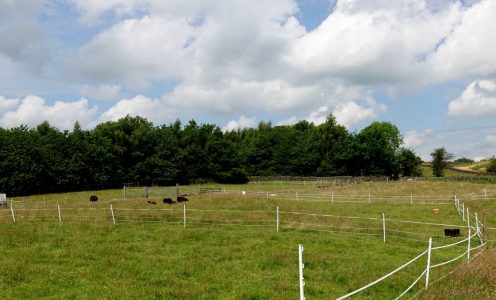 Introducing Eden Acres